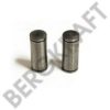 RENAULT 5000716600 Brake Shoe Bolt